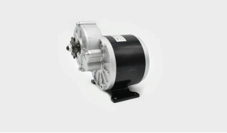 250W 24V Brush DC Gear Waterproof Motor