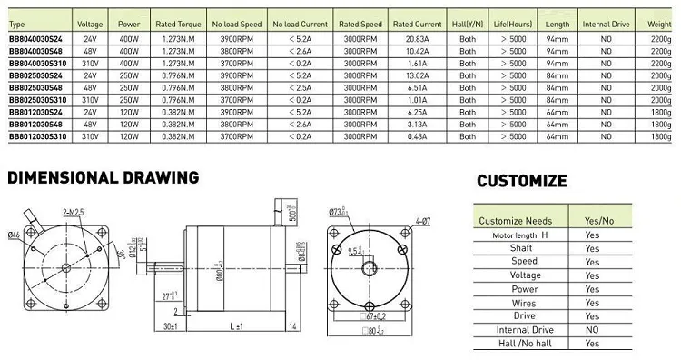 250W 24V High Torque Mini BLDC Brushless Motor