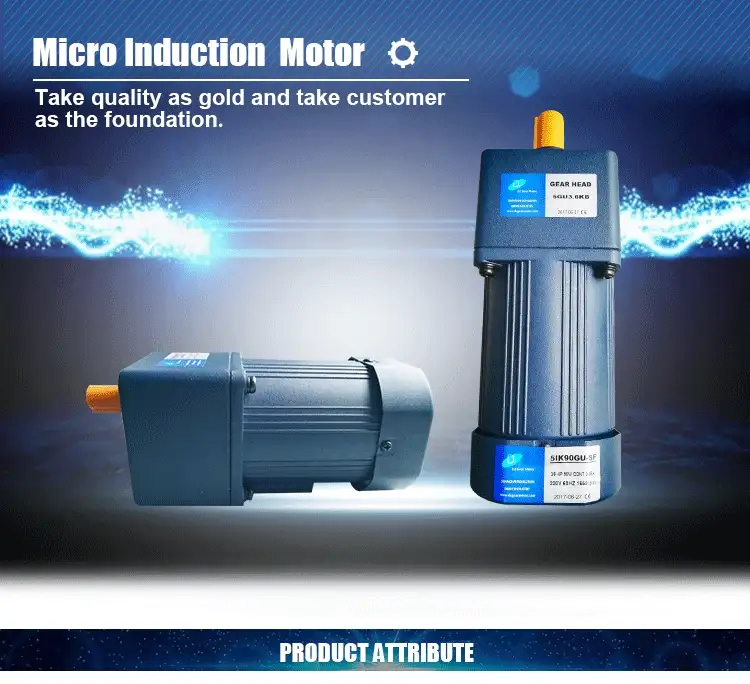 40W 230-380V AC single phase gear induction motor