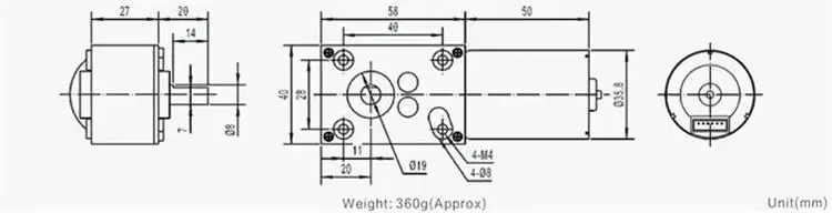 6-24V 5-150RPM bldc worm gear dc motor