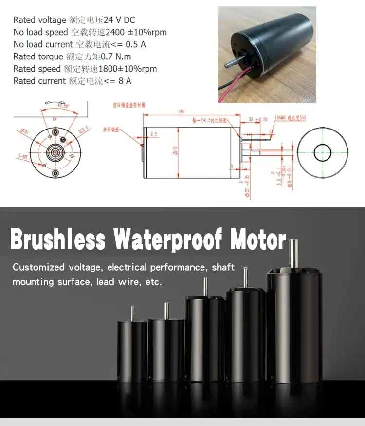 Customized 12v 24v Sensorless Waterproof Electric Brushless Dc Motor