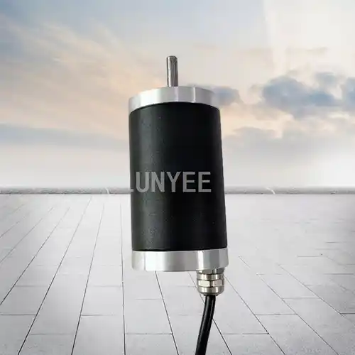 12-24V 2400-4000RPM 50MM IP67 water proof dc motor