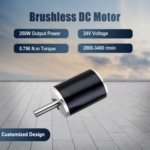 250W 24V High Torque Mini BLDC Brushless Motor