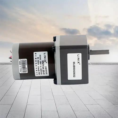 25W 12-24V 2200-3000RPM DC brush motor