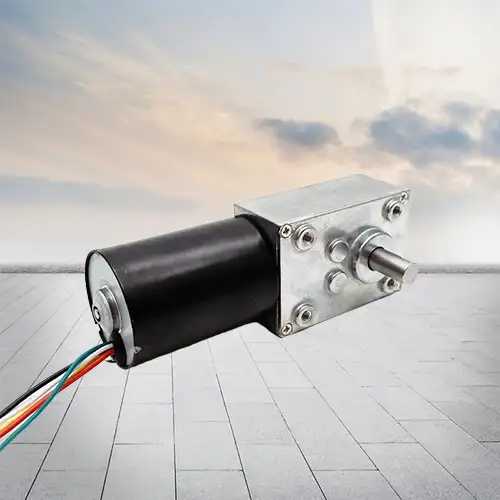 6-24V 5-150RPM bldc worm gear dc motor