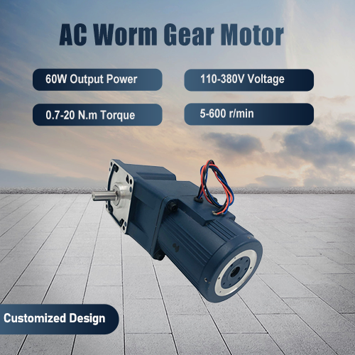 60W AC Worm Gear Motor