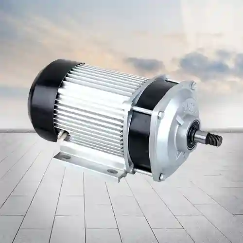 800-1000W 48V Single-phase rushless PMDC Motor Tricycle Motor with Controller